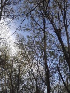 Looking for Love in All the Wrong Places Image